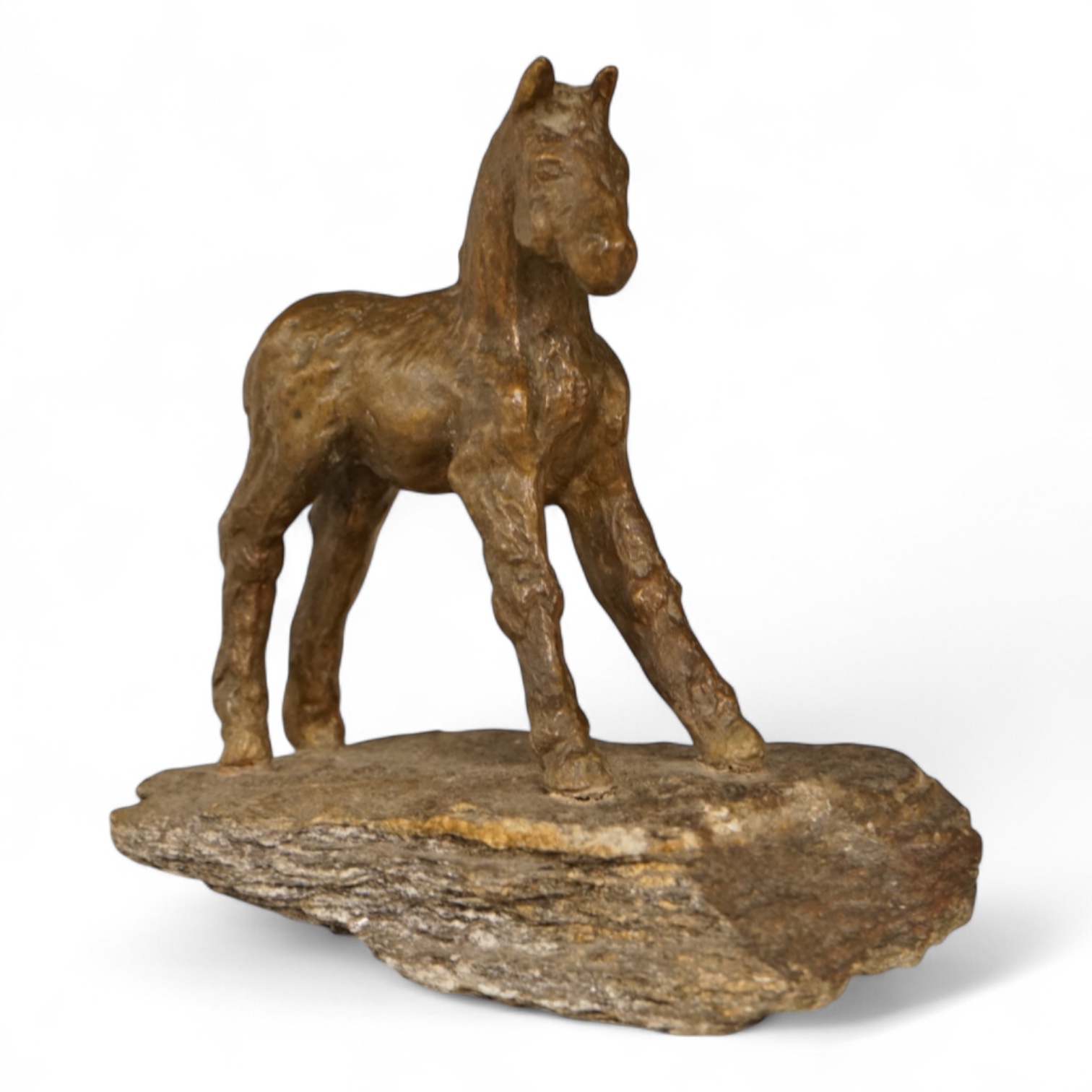 A Contemporary bronze study of a foal, 23cm high